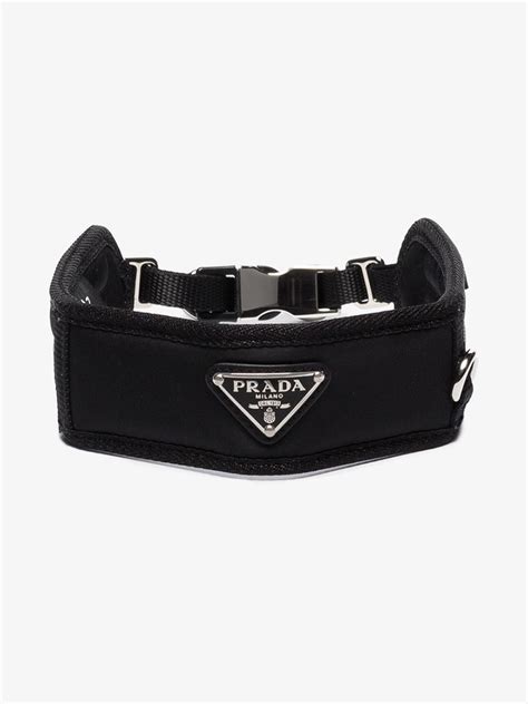 prada collare cane